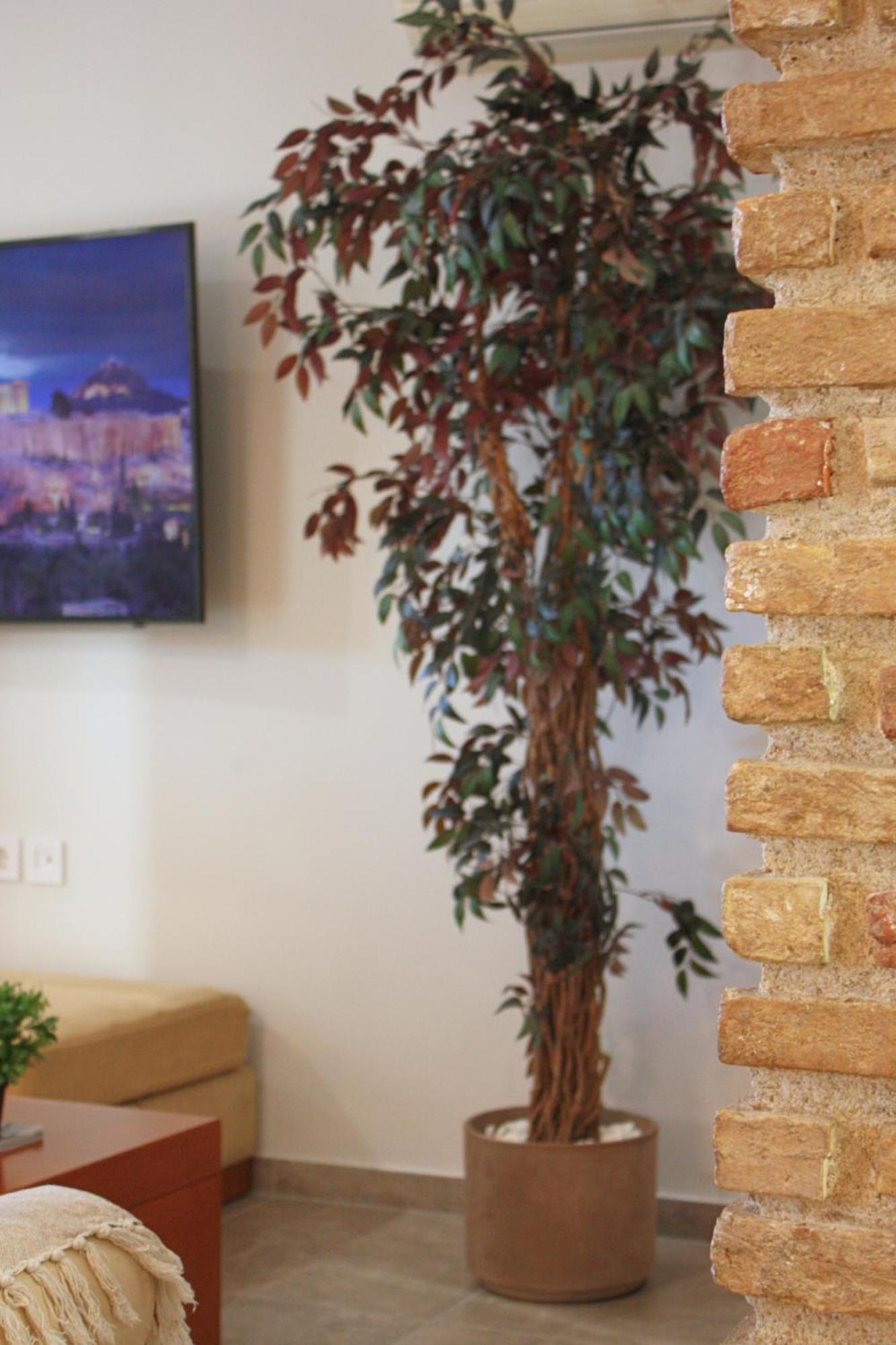 העיירה קוס Camara Suite מראה חיצוני תמונה